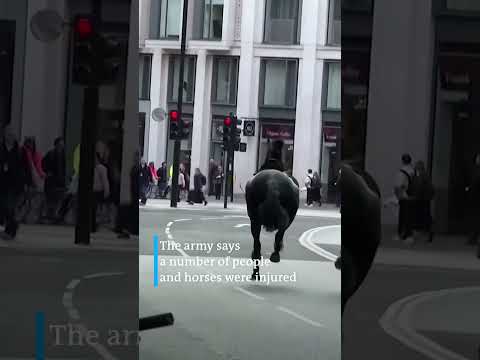 Military horses running loose in central London - DW News.