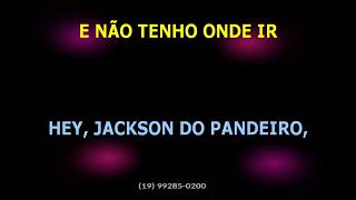 Zé Ramalho - Mr  Do Pandeiro (Com back) - Karaokê
