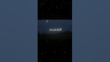 سورة  البقرة|25|القارئ:#محمد_اللحيدان #قران #quran #راحة_نفسية #قران_كريم #تلاوة_هادئة #تلاوة_خاشعة