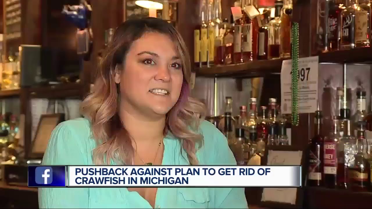 Pushback against plan to get rid of crawfish in Michigan