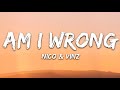 1 hour  nico  vinz  am i wrong lyrics