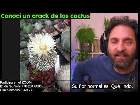 Un invernadero lleno de cactus