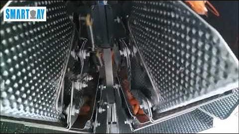 Auto weighing and tray filling line for shrimp