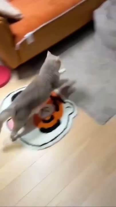 Котя… - YouTube