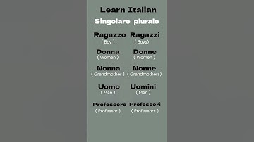 singolare e plurale | Simple way of Learning Italian | Learn Italian Easy Way  #learningitalian