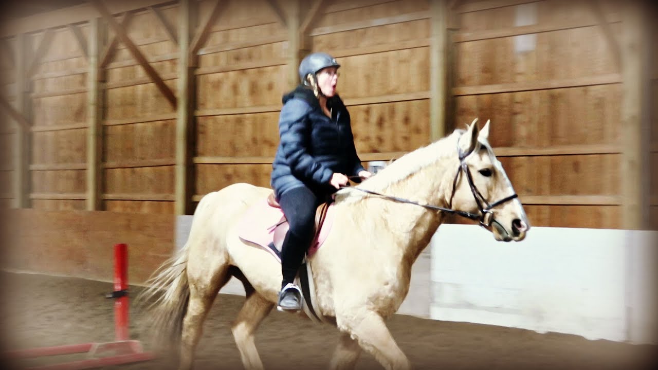 FIRST TIME RIDING A CRAZY HORSE - YouTube