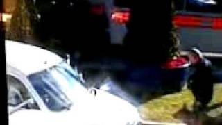 Mark Morrison Arrest By 35 Armed Police 6th Feb '08 Part 3
