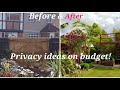 How I created Garden Privacy on budget| Ideas for Garden Privacy|