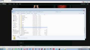 LordAardvark Shares - How To Install Custom Content