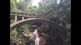 假日爬郊山－湖山里步道20180804