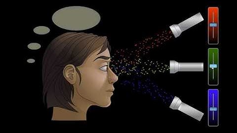 3 Colour Histogram Explained