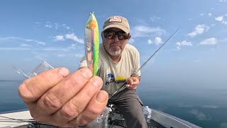 Best Jigging Spoons For Fall Salmon