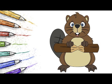 Wideo: Jak Narysować Bobra, Bobra Ołówkiem
