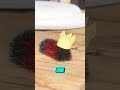 ¿Oruga peligrosa?