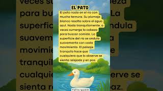 What is a Duck in spanish #vocabulary #short #spanishfluency #español #español #español