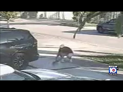 Video shows 2 men stealing family’s tiny dog from their Hialeah driveway