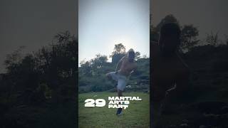 Day 29 Part 1 Defence