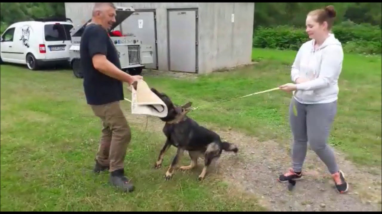 Gismo vom Adlerschrei