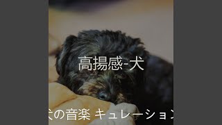 雰囲気 かわいい犬 Youtube