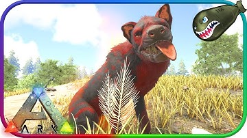 Ark: Survival Evolved | Super Cute Alpha Hyaenodon, Taming Tribe People #38 (Ark Extinction Core)