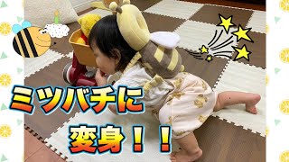 [転倒防止リュック] 赤ちゃんの転倒防止クッションで0歳児がミツバチに変身！！