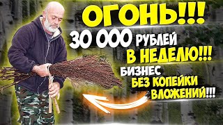 Заработок до 120 000 рублей в месяц без копейки вложений!!! Очень,очень,очень выгодная идея ч 28