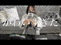 【CARAT】オタクは推しのトレカのために服を買います【開封動画/購入品】