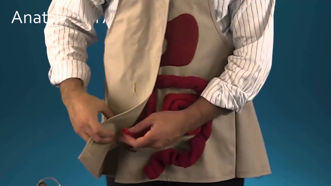 Part 1: Intestines Before and After Ileostomy Surgery