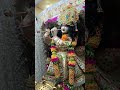 💖श्यामा आन बसो वृन्दावन में💖#krishnabhajan#virdavan #radhakrishna#trending #viralshorts#bhajankirtan