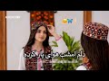 آهنگ جدید دلم امشب هوای یار کرده ویرانم محلی هراتی      2026