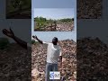 Part:37//Share and repost the video to MP and MCE. Kofiaseman we need their help