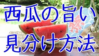 スイカ選び方！見分け方法。美味しい西瓜は外観、音である程度旨いものが判断可能。Japanese watermelon