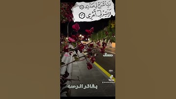 قال ربي اشرح لي صدري ويسر لي امري #القران_الكريم #قران #quran #قران_كريم #تلاوات #