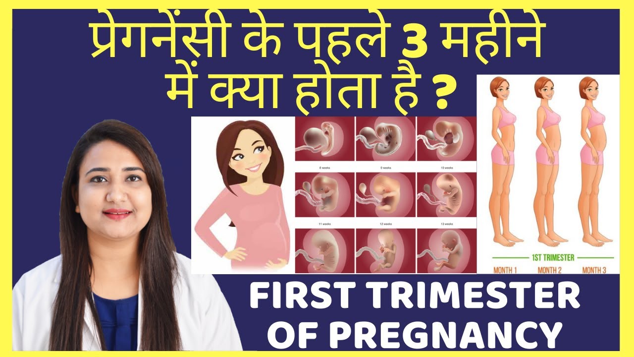 प्रेगनेंसी के पहले तीन महीने में क्या होता है ? PREGNANCY FIRST TRIMESTER