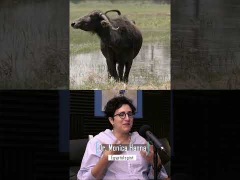 الجنة في مصر القديمة كانت مصر نفسها بودكاست تاريخ