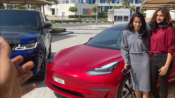 Tesla model 3  19  | TESLA VS RANGE ROVER SVR