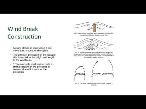 ভিডিও: গার্ডেন উইন্ডব্রেক ডিজাইন - উইন্ডব্রেক হিসাবে গাছপালা এবং গাছ বেড়ে উঠতে পারে