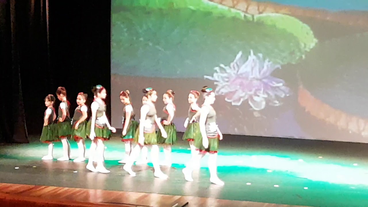 Dança Cia 2018 coreografia Vitória Régia