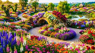 Famous Garden Tour 2026: Stunning Small Gardens & Smart Bonsai Space Ideas 🌿✨ Net Worth