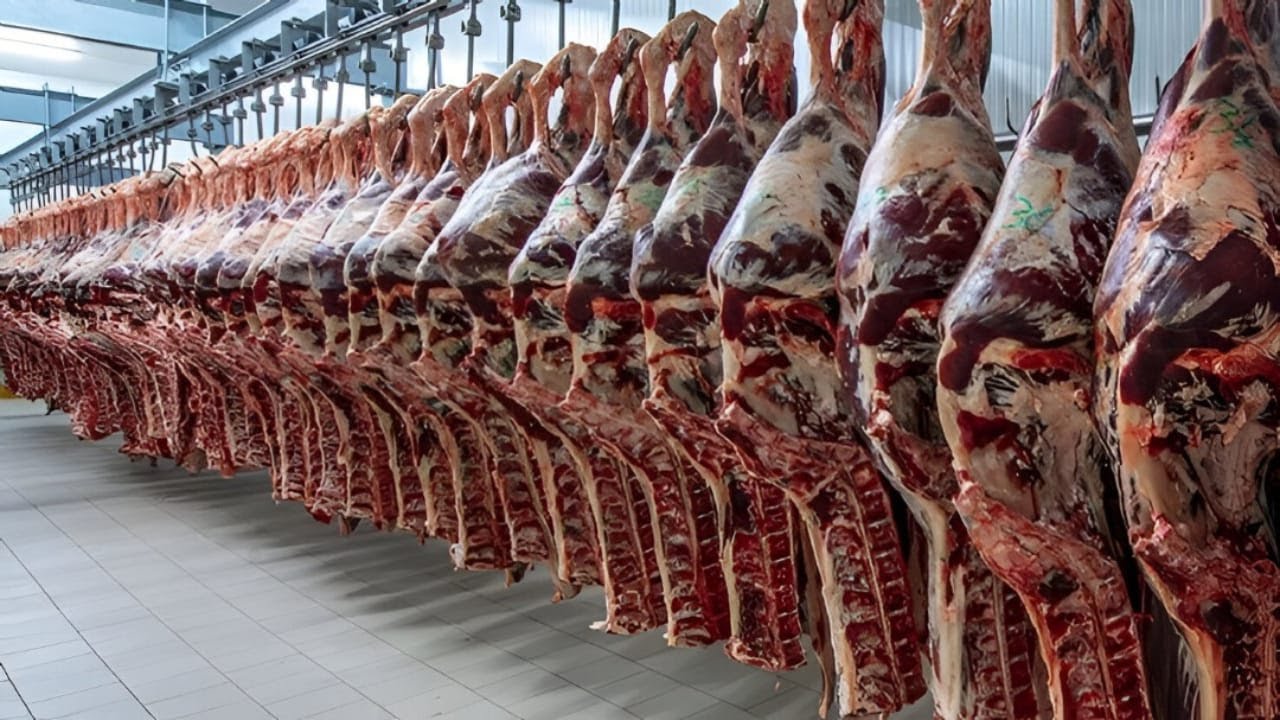 Most Expensive meat Production In The World. Modern Animal Factories!