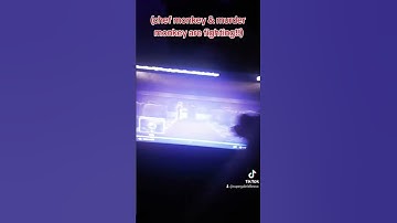 chef monkey & murder monkey are fighting (cuz murder monkey watching tv.) #darkdeception #makeship