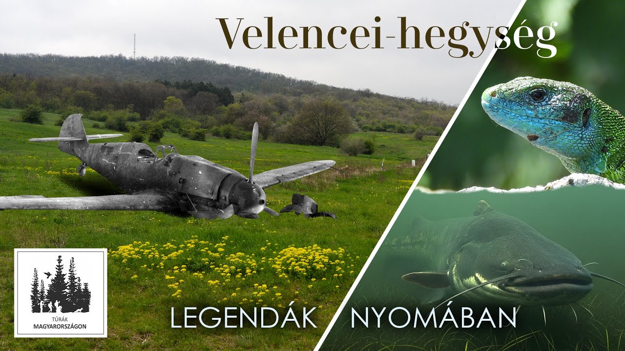 Túra közben tártuk fel a Velencei-hegység legendáit