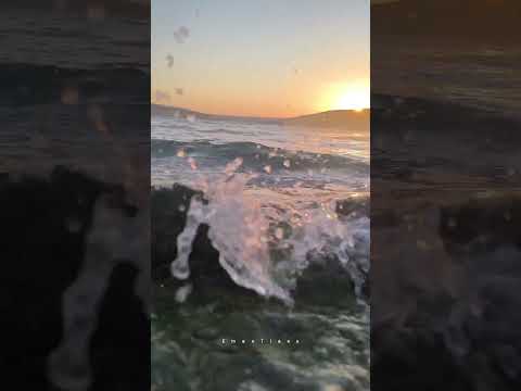 روح البحر  فضل شاكر اكسبلور  هاشتاغ سدالرستن   