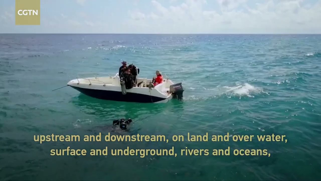 Polluted Waterway Sees Remarkable Transformation with 'River Chief System'