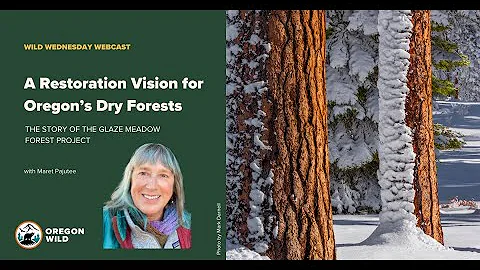 Webcast: A Restoration Vision for Oregon's Dry Forests
