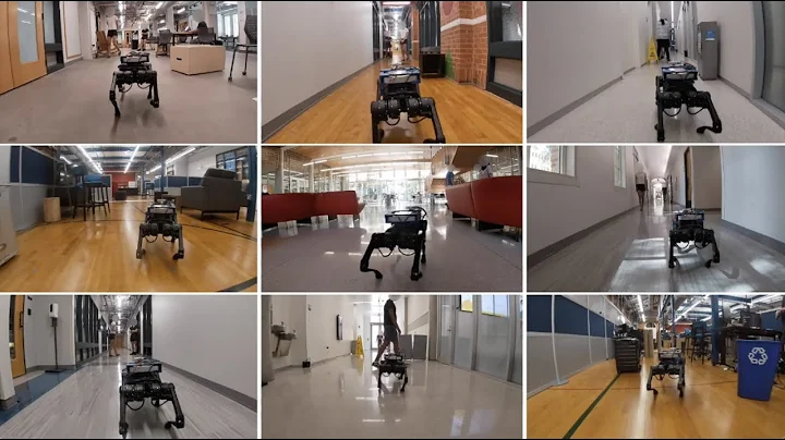 Perceptive Quadrupedal Locomotion in Dynamic Environments