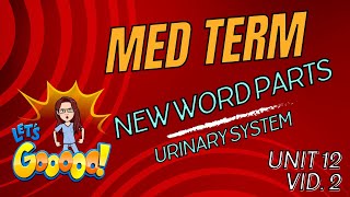 Active Learning 📝 Master Urinary System Word Parts: Fun Medical Terminology Breakdown! 💧