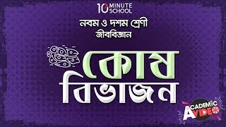 Әйел үстемдігі порно