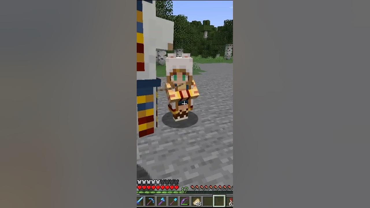  minecraft changed wandering trader texture youtube