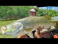 Insane fishing for big barramundi